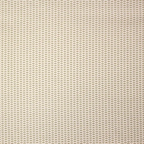 Abanico, Hojas en tonos caqui en forma de abanico